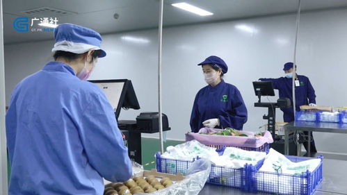 江蘇直通車(chē) 探訪(fǎng)南京豐浩華食品供應(yīng)鏈管理有限公司的創(chuàng)新之路